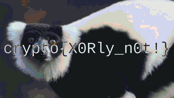 Recovered lemur image after processing